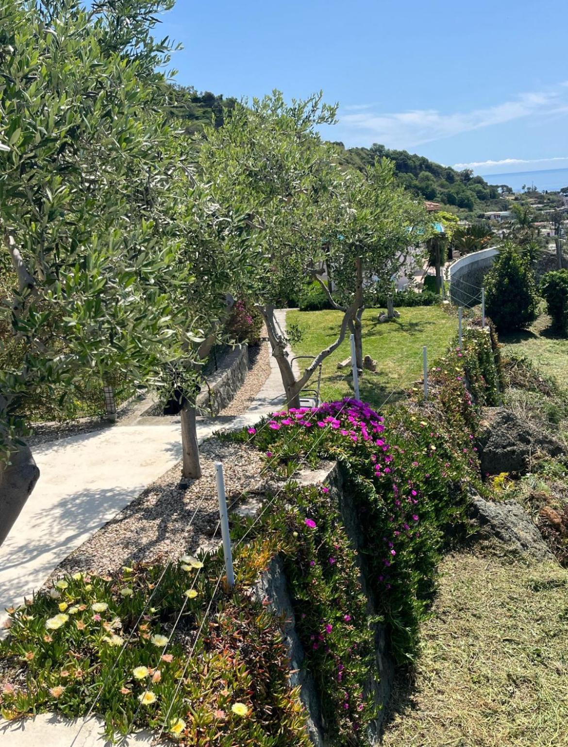 Villa Inarime 伊斯基亚 外观 照片